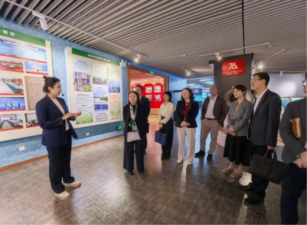 1762440050792004191.jpg 1762440050792004191.jpg