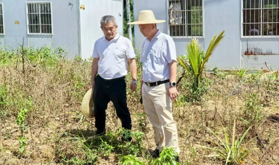 王宏向赴山榮分公司調研