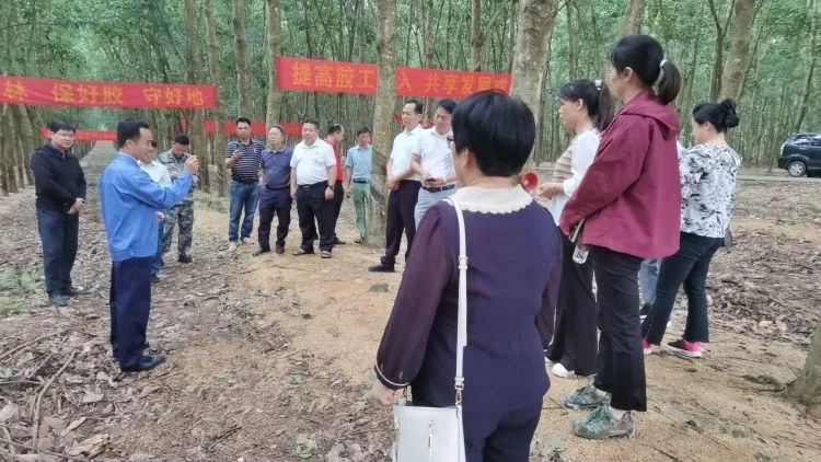 全國割膠冠軍張健給各單位學員做標準化膠園建設及割膠技術的經驗介紹。.jpg